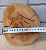 Зріз дерева для декору, не шліфований (d180х140х40мм), фото 6