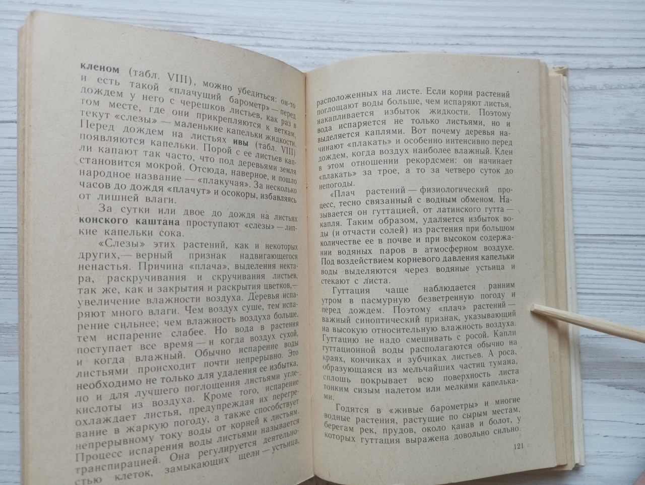 Product image preview