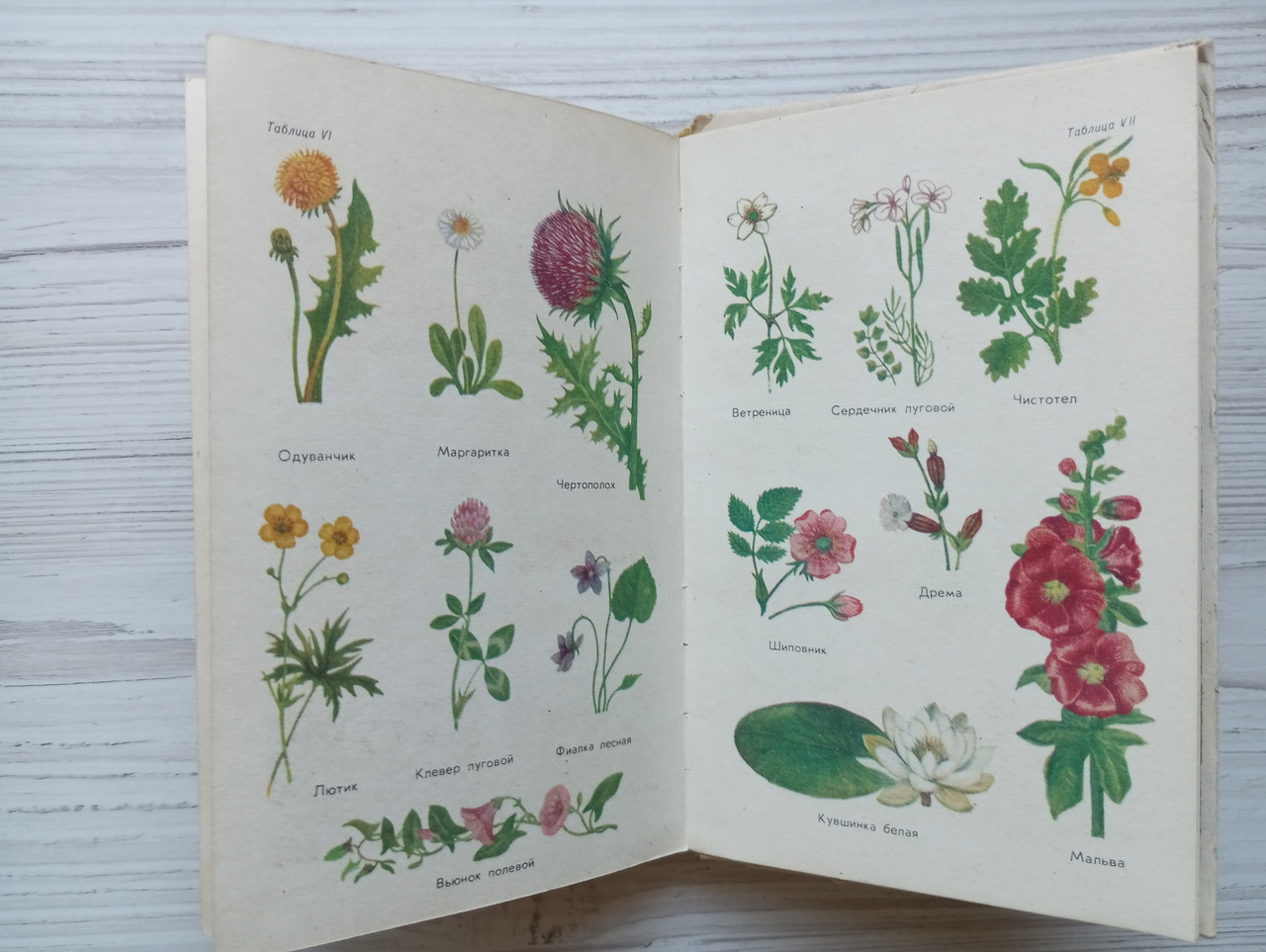 Product image preview