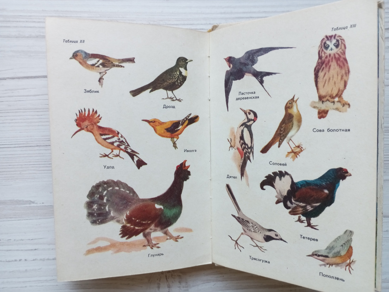 Product image preview