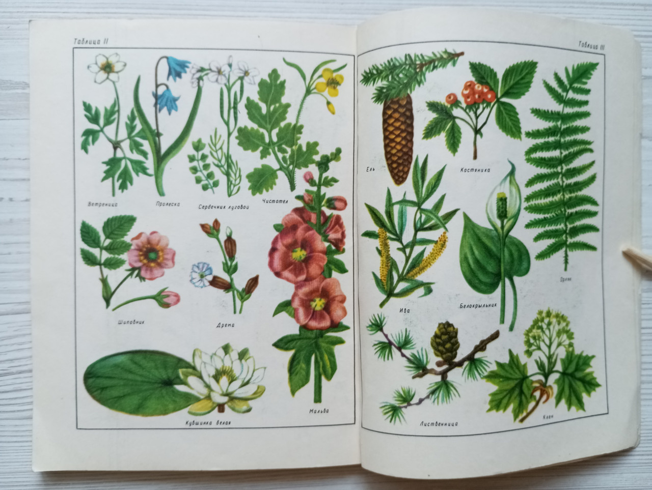 Product image preview