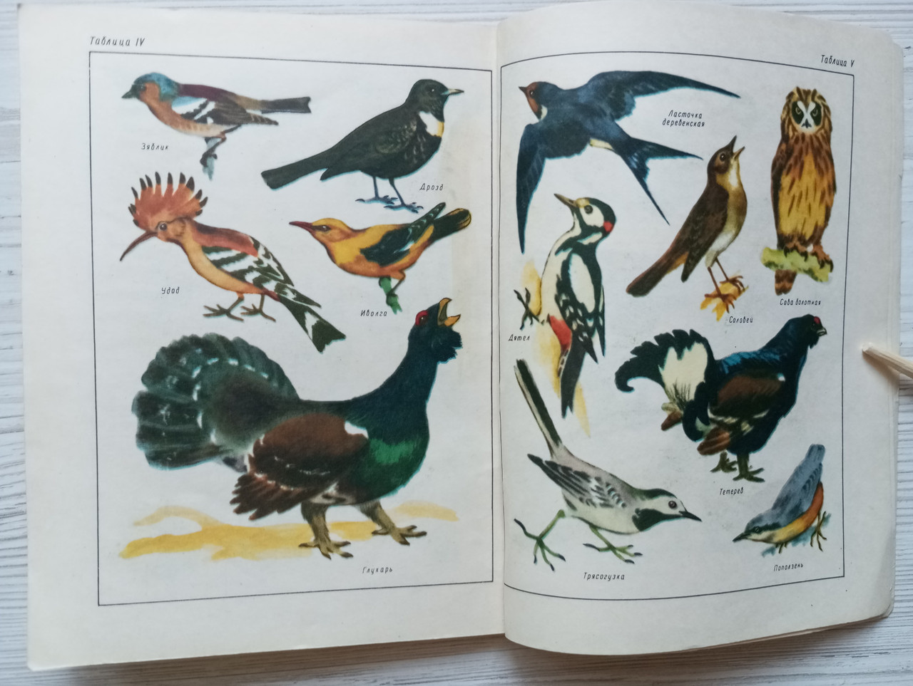 Product image preview