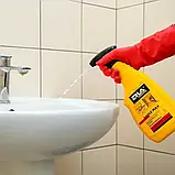 Професійний засіб для очищення санітарних  приміщень і ванних кімнат / ERLA SANIZ MAX  STRONG SANITARY CLEANING AGENT 750ML, фото 2