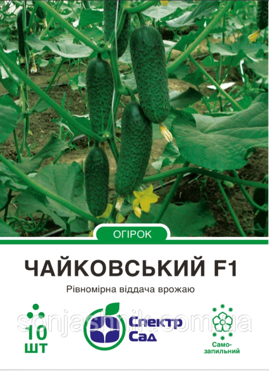 Огірок Чайковський F1, 10 шт