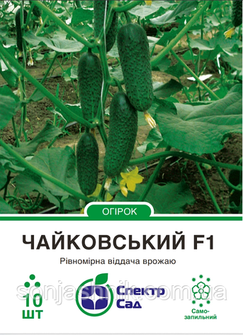 Огірок Чайковський F1, 10 шт, фото 1