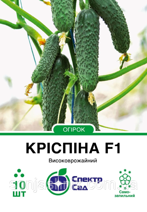 Огірок Кріспіна F1, 10 шт