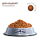 Клуб 4 Лапи Club 4 Paws Premium With salmon сухий корм для кошенят зі смаком лосося, 5 кг, фото 3