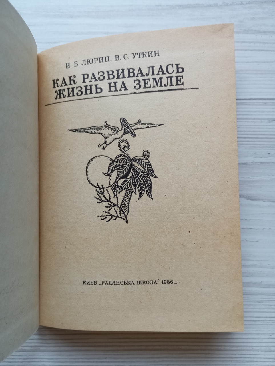 Product image preview