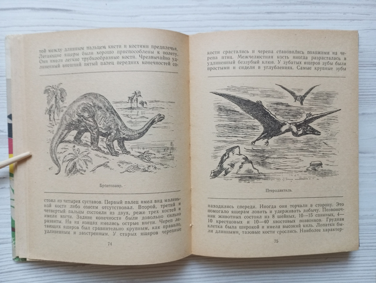 Product image preview