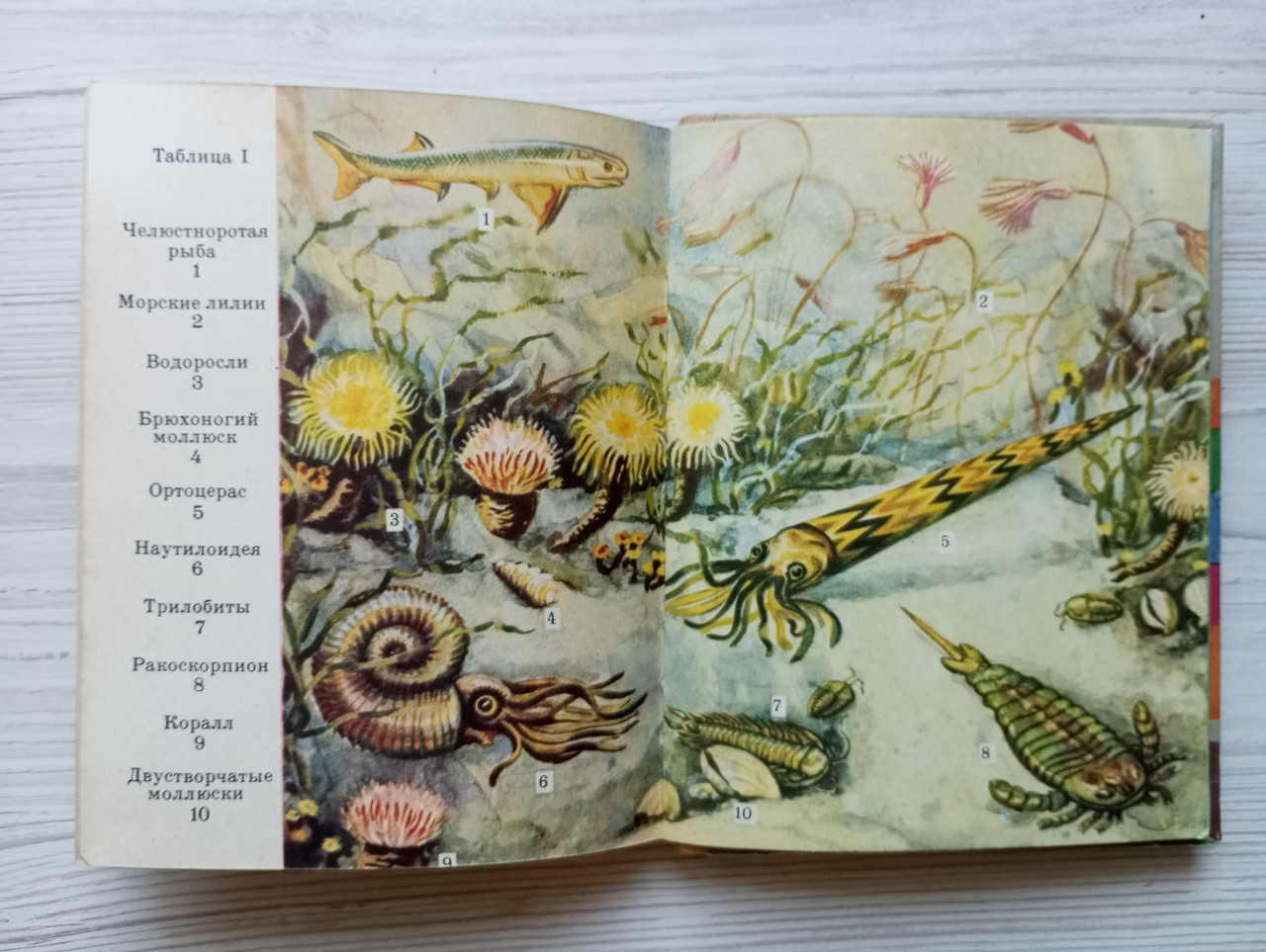 Product image preview