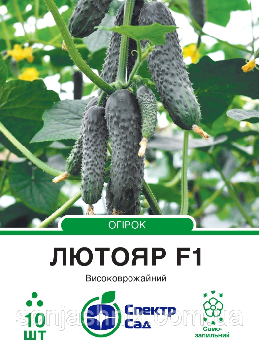 Огірок Лютояр F1, 10 шт