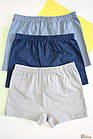 ОПТОМ Трусики боксери 3 шт. "Pilot" для хлопчика (3-4 роки) Pier Lone 8681788593674, фото 2