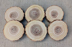Зріз дерева для творчості, шліфований з двох боків 5 шт. (5-6 см)