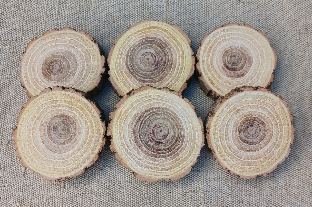 Зріз дерева для творчості, шліфований з двох боків 5 шт. (5-6 см)