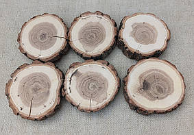 Зрізи дерева, шліфовані, для творчості та рукоділля d 90-100мм. 6 штук.