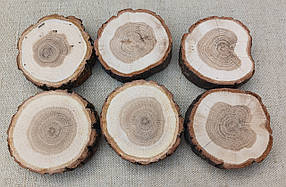 Набір зрізів дерева шліфованих для створення панно, картин (d 7-8 см) 6 шт. дуб