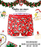 Труси новорічні підросткові