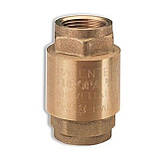 Клапан зворотнього ходу води ITAP 1 1/4″ EUROPA 100, фото 2