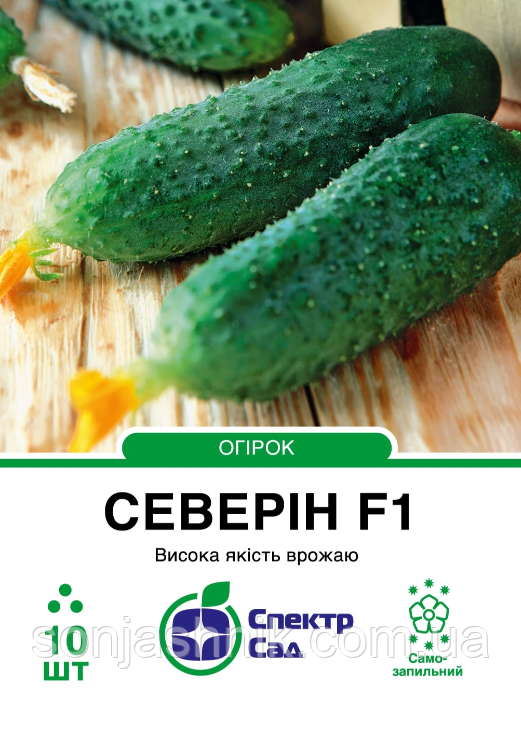 Огірок Северін F1, 10 шт