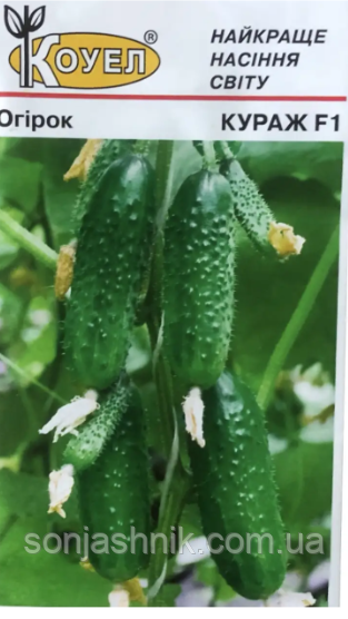 Огірок КуражF1 50н