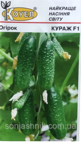 Огірок КуражF1 50н, фото 1