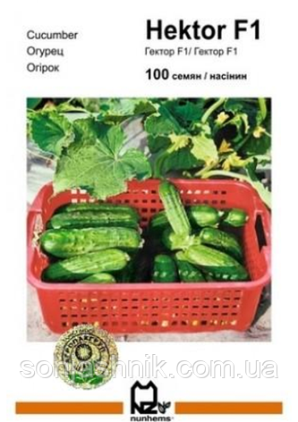 Огірок Гектор F1 100н, фото 1
