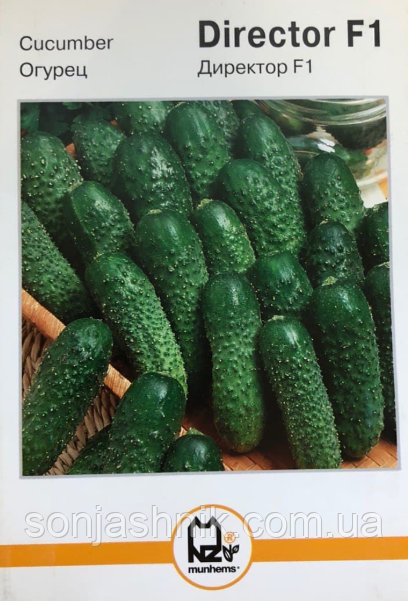Огірок Директор F1 10н
