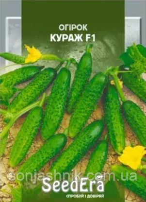 Огірок Кураж F1 100н