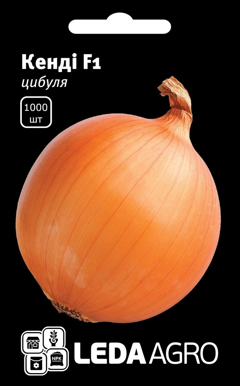 Цибуля Кенді F1 1000 шт (Leda Agro), фото 1