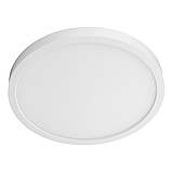 TL 2033485 48w 5000k КОЛО БІЛЕ, фото 3