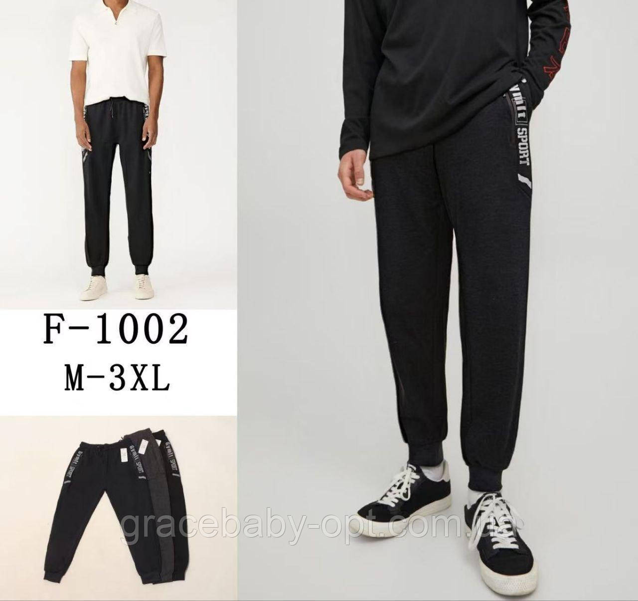 Спортивні штани чоловічі оптом, М-3XL рр, No Si-F1002, фото 1