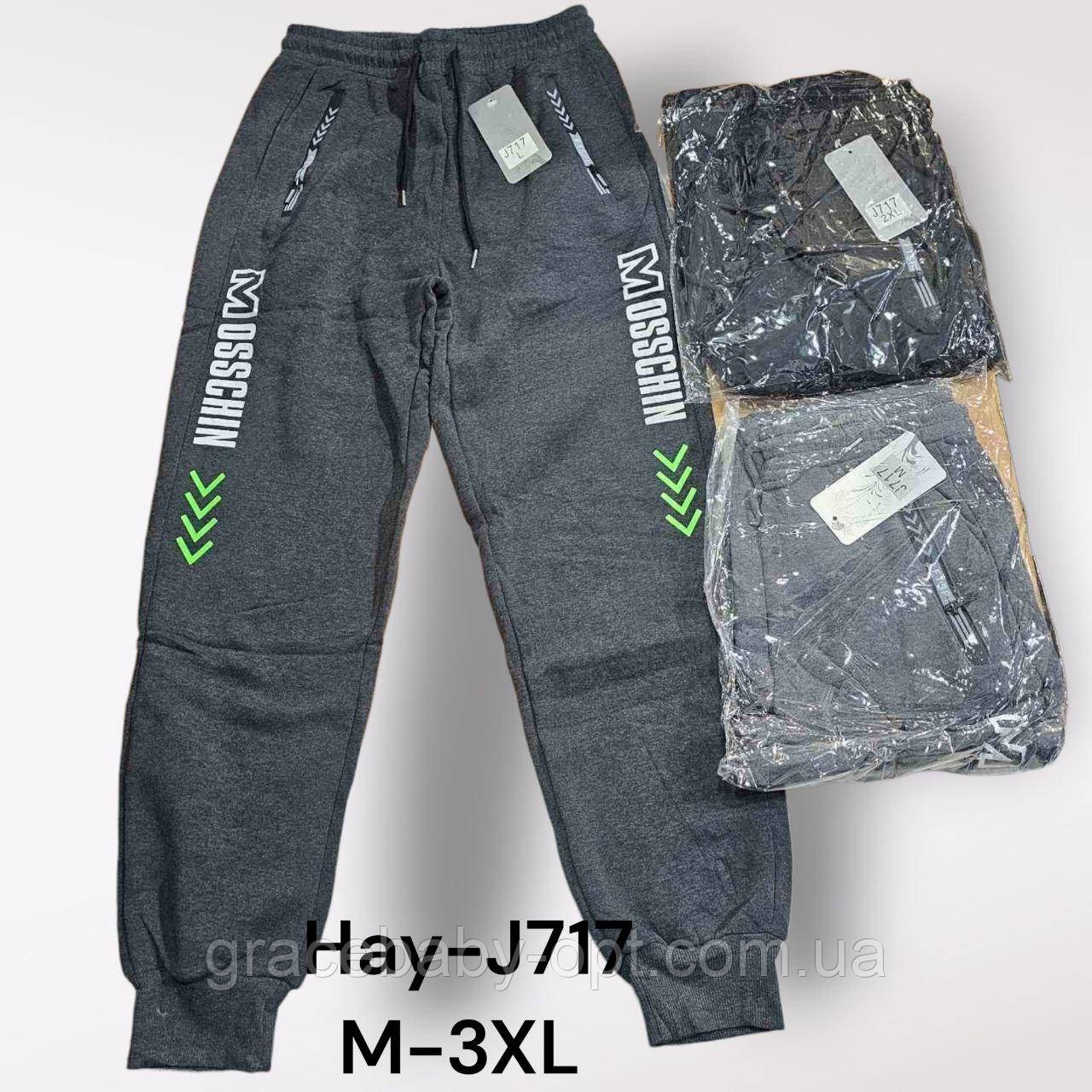 Спортивні утеплені штани чоловічі оптом, М-3XL рр, No Hay-J717, фото 1
