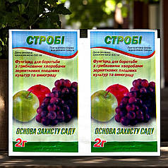 Фунгіцид Стробі в.г. Басф, 2 г