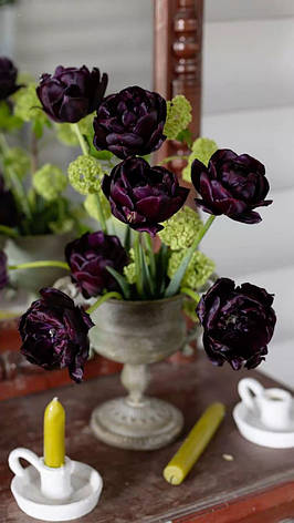 Тюльпан Махровий Black Hero 10/11, фото 2