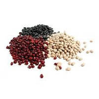 Бобові та плодово-овочеві культури - насіння