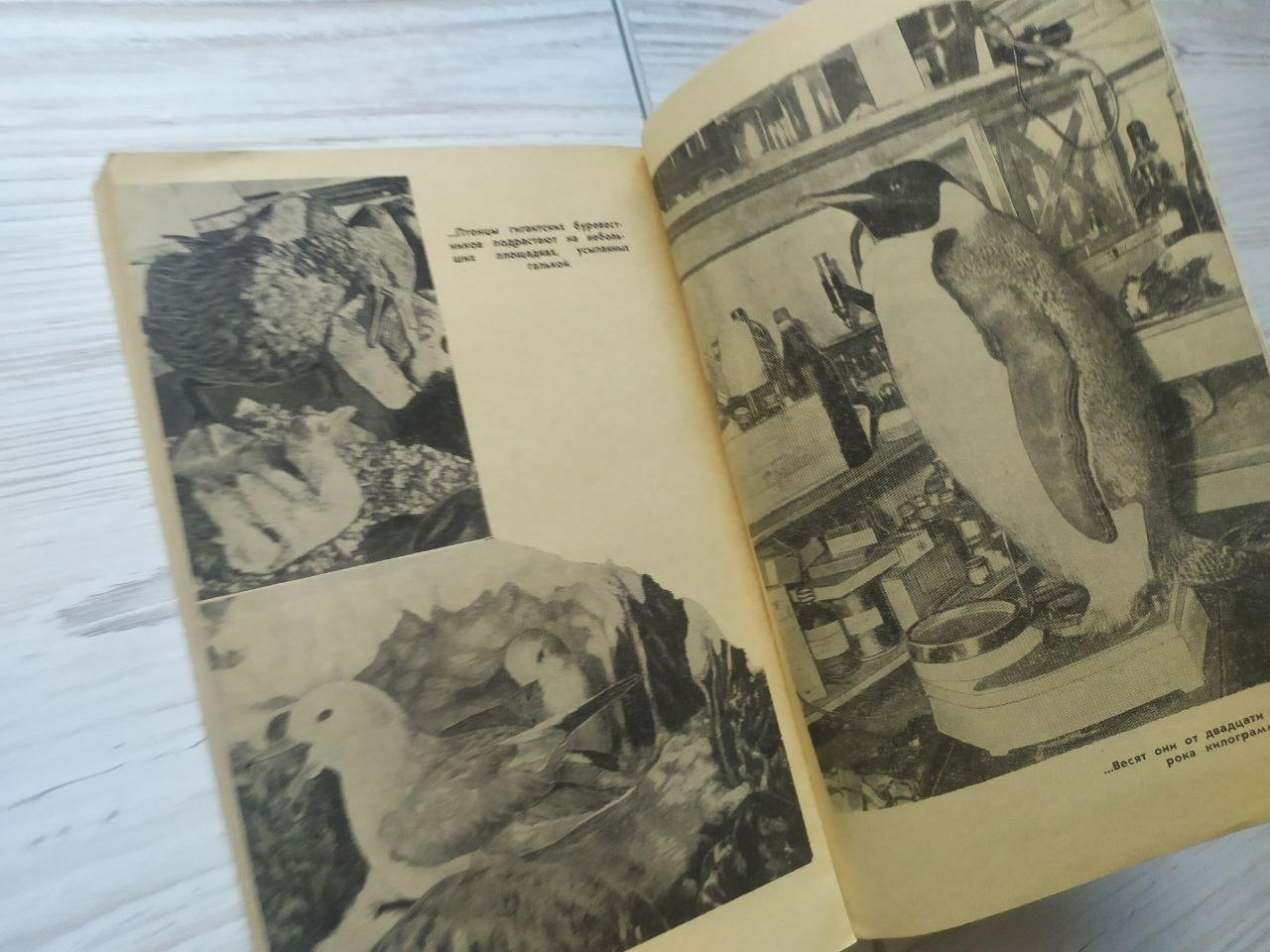 Product image preview