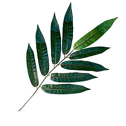 Штучний лист пальми 35 см силікон