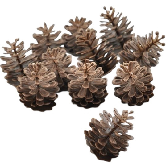 Штучні шишки 4×5 см для декору, флористики та вінків (комплект) по 5 шт, фото 1