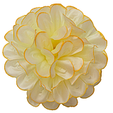 Хризантема атлас, 11см, фото 5