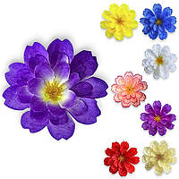 Хризантема осіння, 8,5см