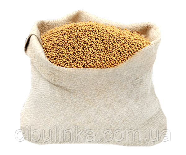 Насіння Гірчиця Біле, сидерат, мішок 10 кг - фото 1 - id-p1002936878