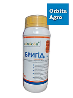 Протруйник Бригід