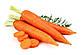 Морква Карла, тип флакке 2 г (Leda Agro), фото 3