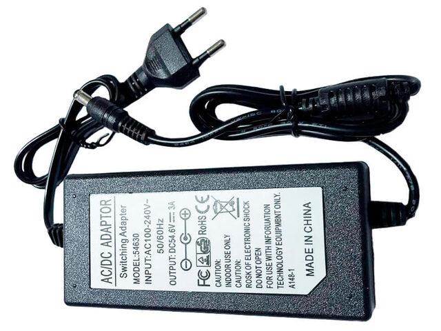 Зарядний пристрій TT AGRO MOTO DC54.6 V 3.0 A на електровелонабір, фото 1