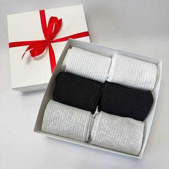 Боксі на 6 пар