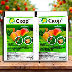 Фунгіцид Скор 250 ЕС к.е. Syngenta, 2 мл