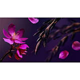 Крем для тіла Rituals Yozakura 220 мл, фото 3