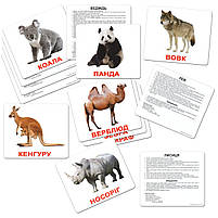 Розвиваюча гра Картки Домана "Велика валіза" Вундеркінд з пелюшок українська мова 20 наборів і книга, фото 4