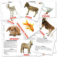 Розвиваюча гра Картки Домана "Велика валіза" Вундеркінд з пелюшок українська мова 20 наборів і книга, фото 7