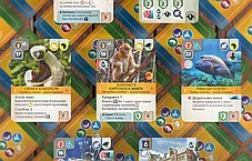 Настільна гра Новий ковчег: Морські Світи (Ark Nova: Marine Worlds), фото 2